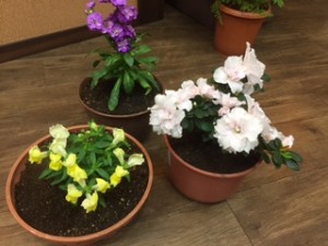花に水　人に愛　心に夢